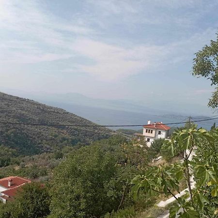 Villa Stefanos Katochori Bagian luar foto
