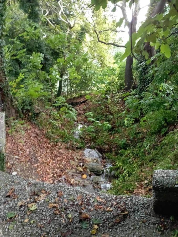 Villa Stefanos Katochori Bagian luar foto