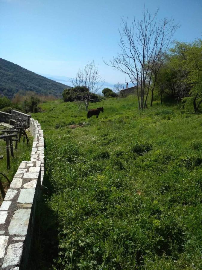 Villa Stefanos Katochori Bagian luar foto